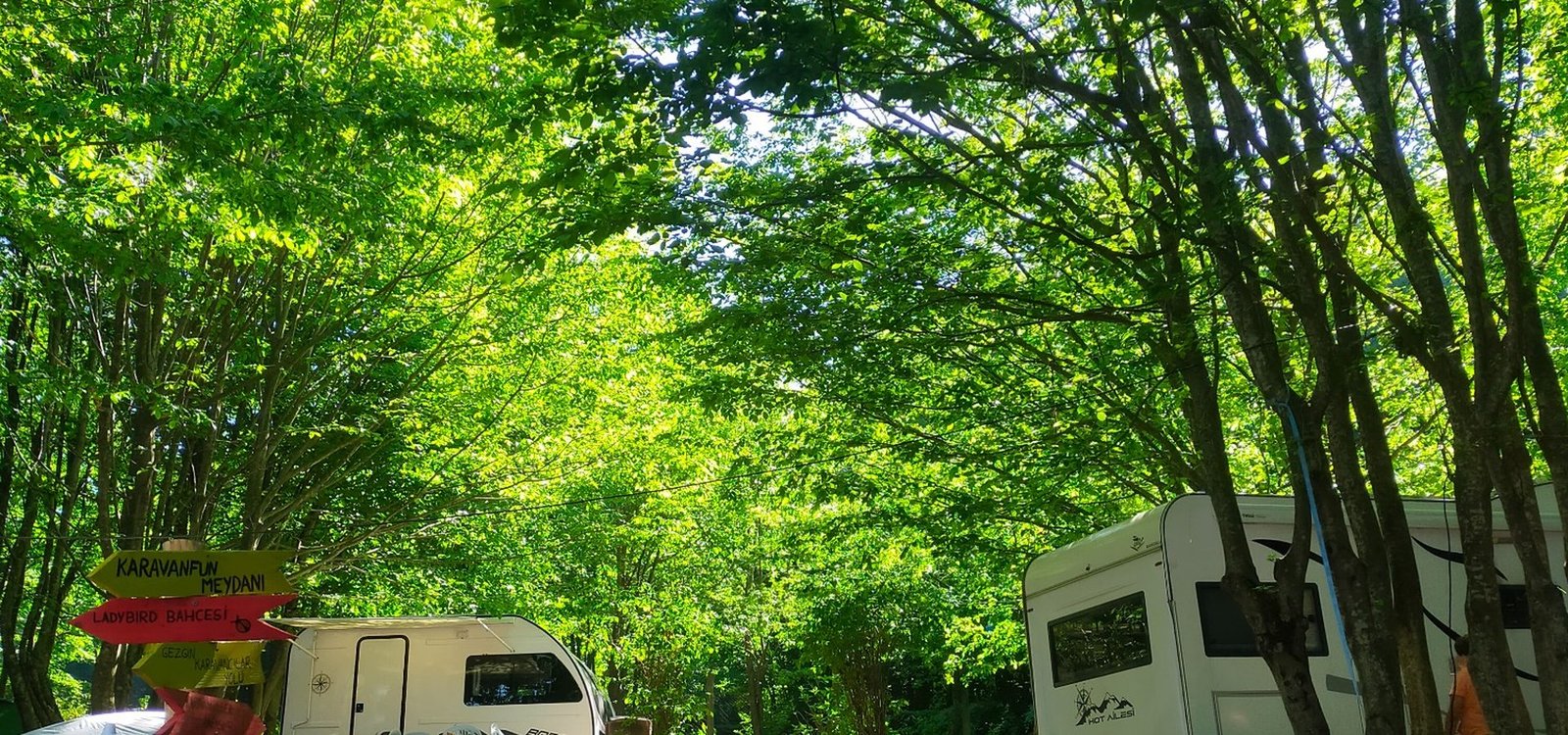 Ayvaz Kamp doğa manzarası